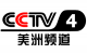 CCTV-4 美洲频道