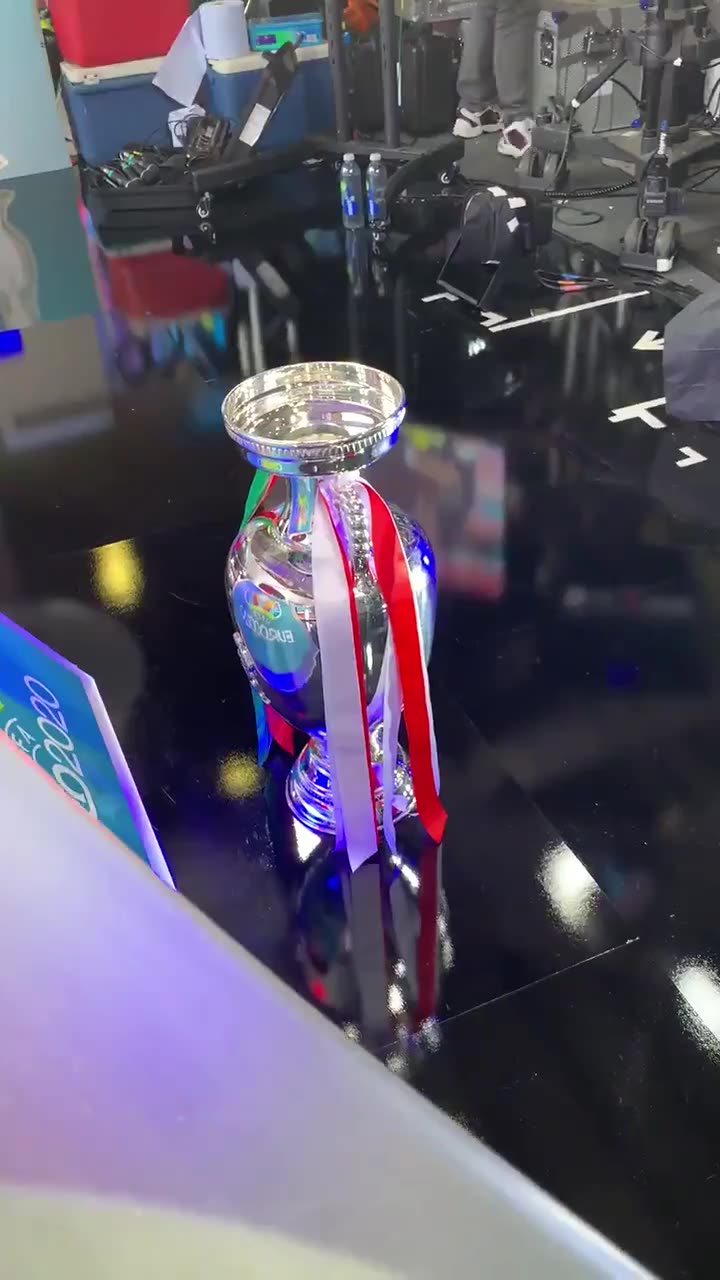莱因克尔晒视频：欧洲杯奖杯在这里