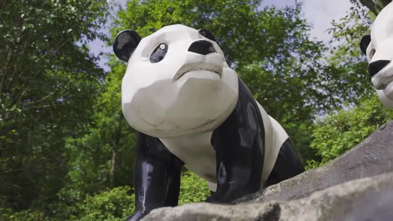 践行大熊猫公益！LvMao探营熊猫基地看望“盟盟”